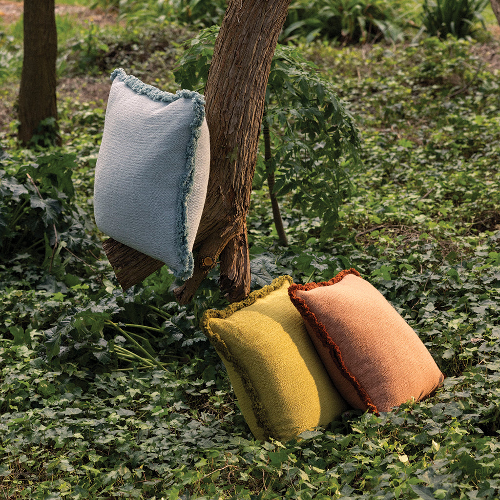 Shop Cushions